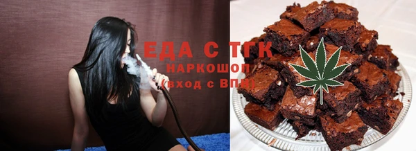 индика Богородск
