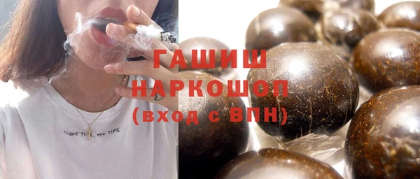 индика Богородицк