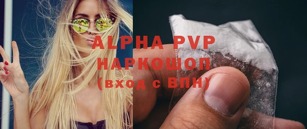 индика Богородицк