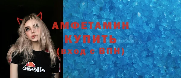 индика Богородицк