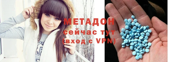 индика Богородицк