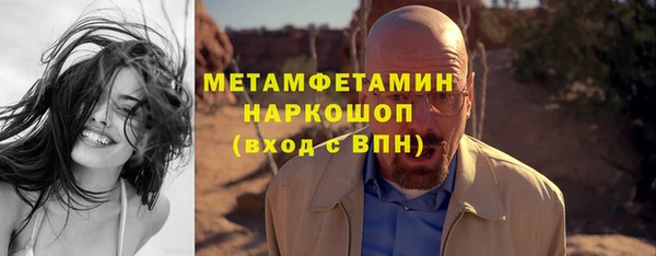 индика Богородицк