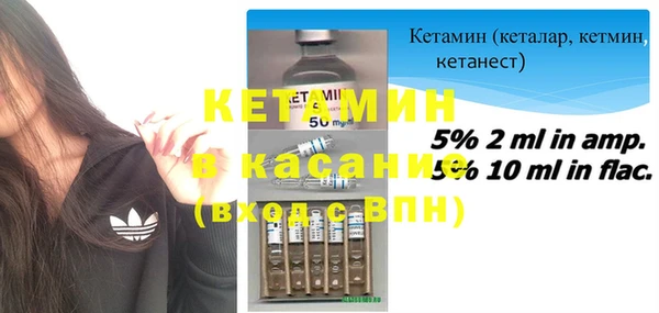 индика Богородицк