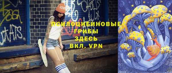 индика Богородск