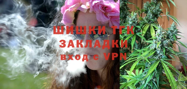 индика Богородск
