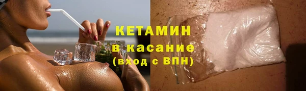 индика Богородицк