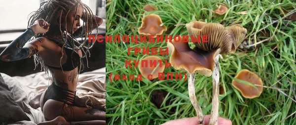 индика Богородск
