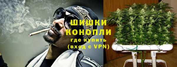 индика Богородск