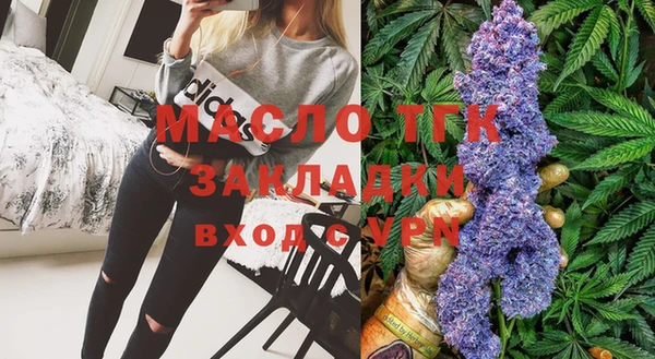 индика Богородск