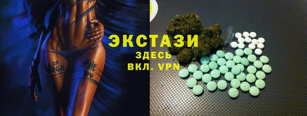 индика Богородицк