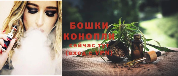 индика Богородицк