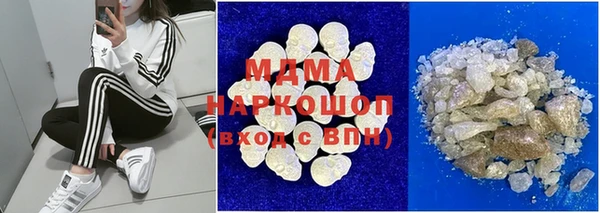 индика Богородицк