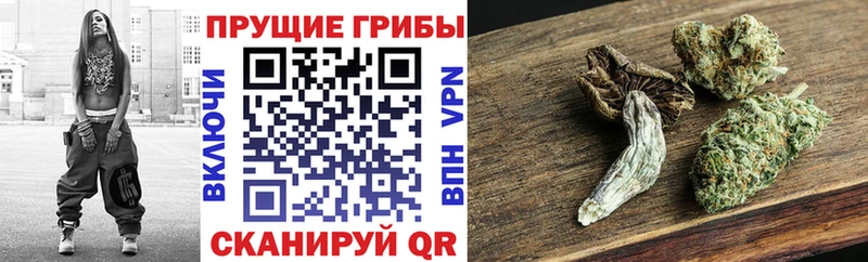 Галлюциногенные грибы GOLDEN TEACHER  Купить закладки  Октябрьск 